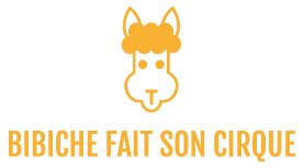 Bibiche fait son cirque PRO 2.0